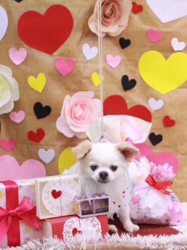 20230217風太くん